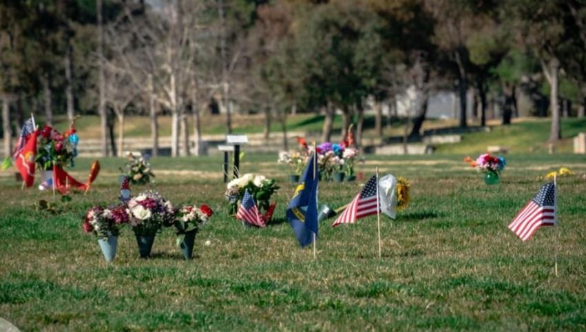 web cemetery
