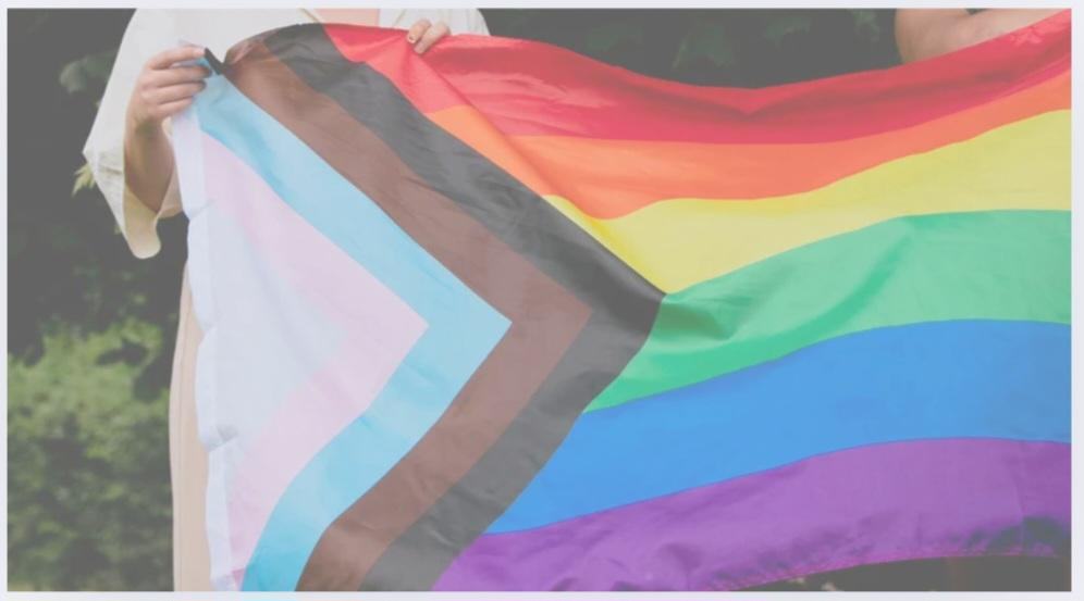 web pride flag
