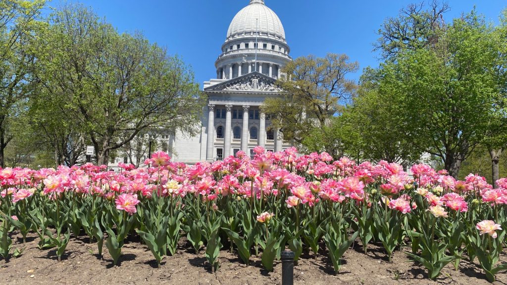 Wisconsin State Capitol