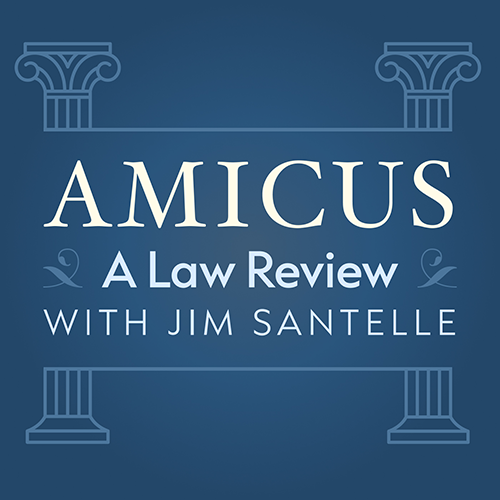 Amicus: A Law Review logo