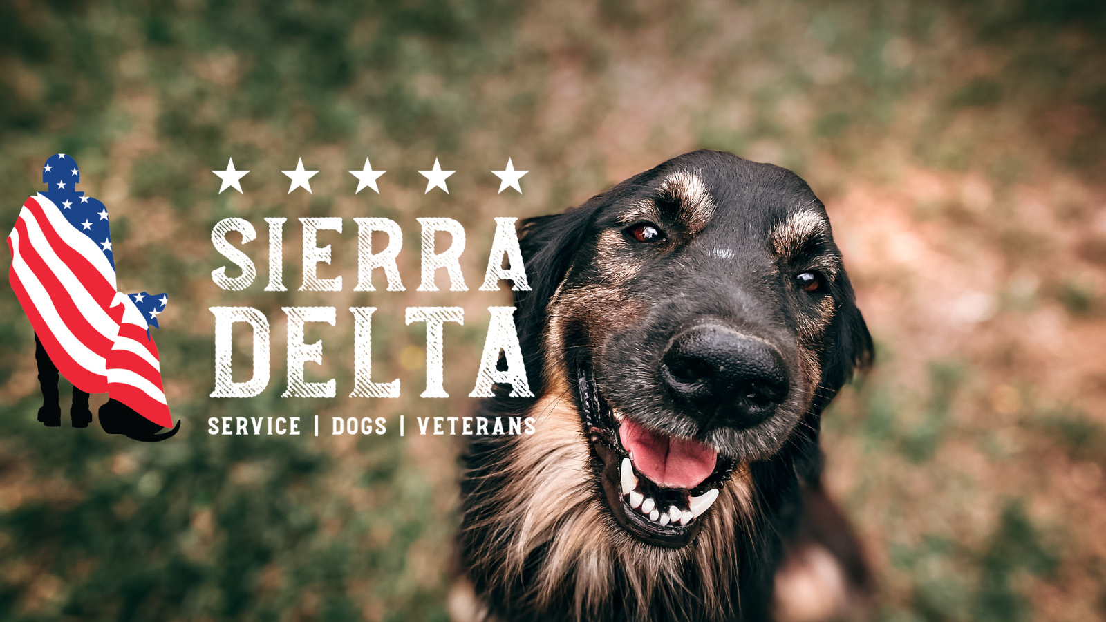 Sierra Delta helps veterans obtain service dogs