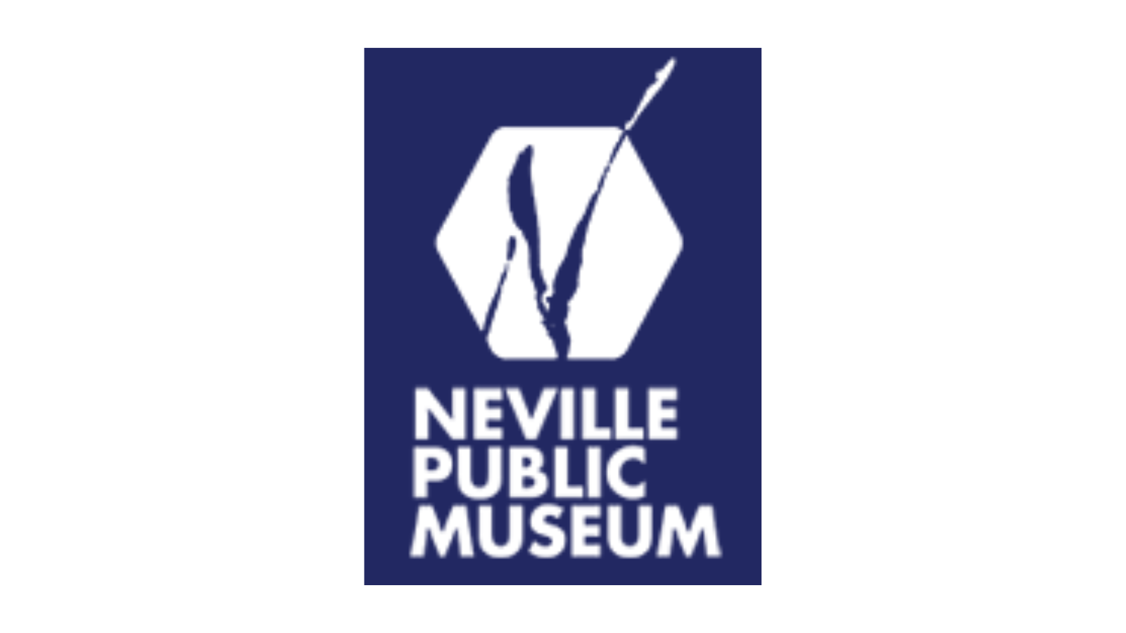 Neville Public Museum offers summer camps for kids.
