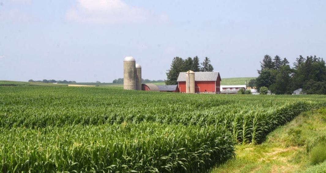 New number of farmers in Wisconsin offers hope following recent declines