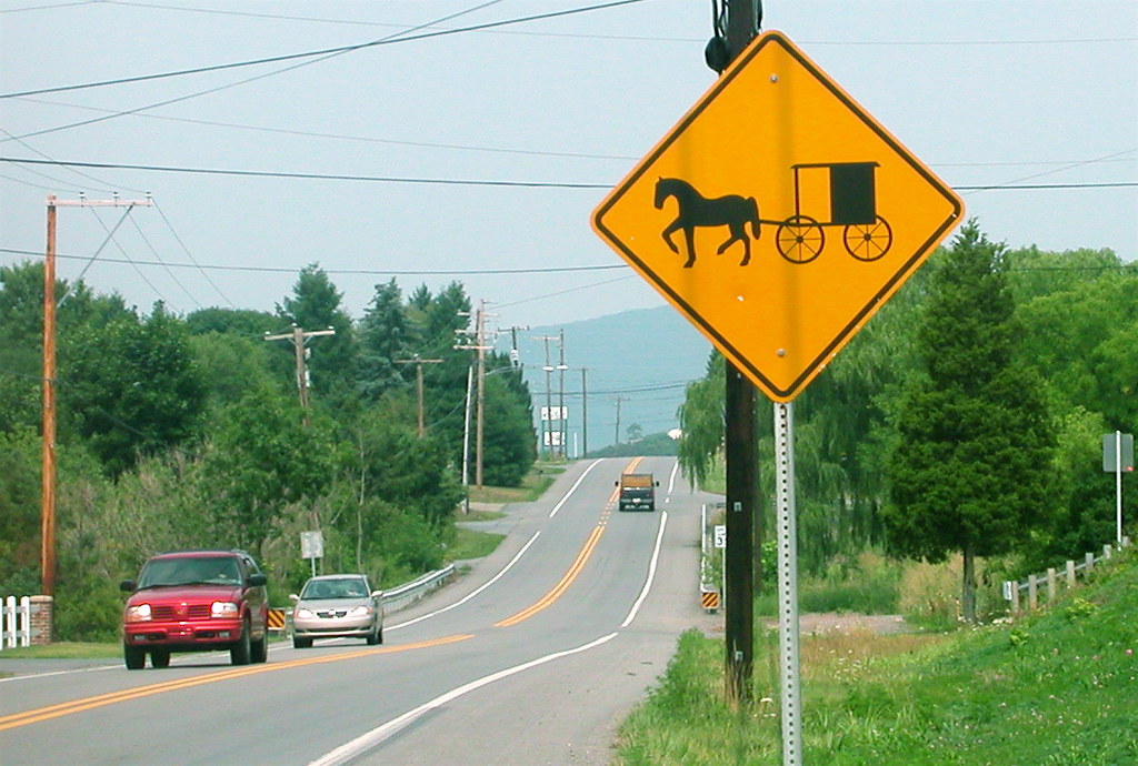 Reedsburg Teens Cited for Harassing Amish Community