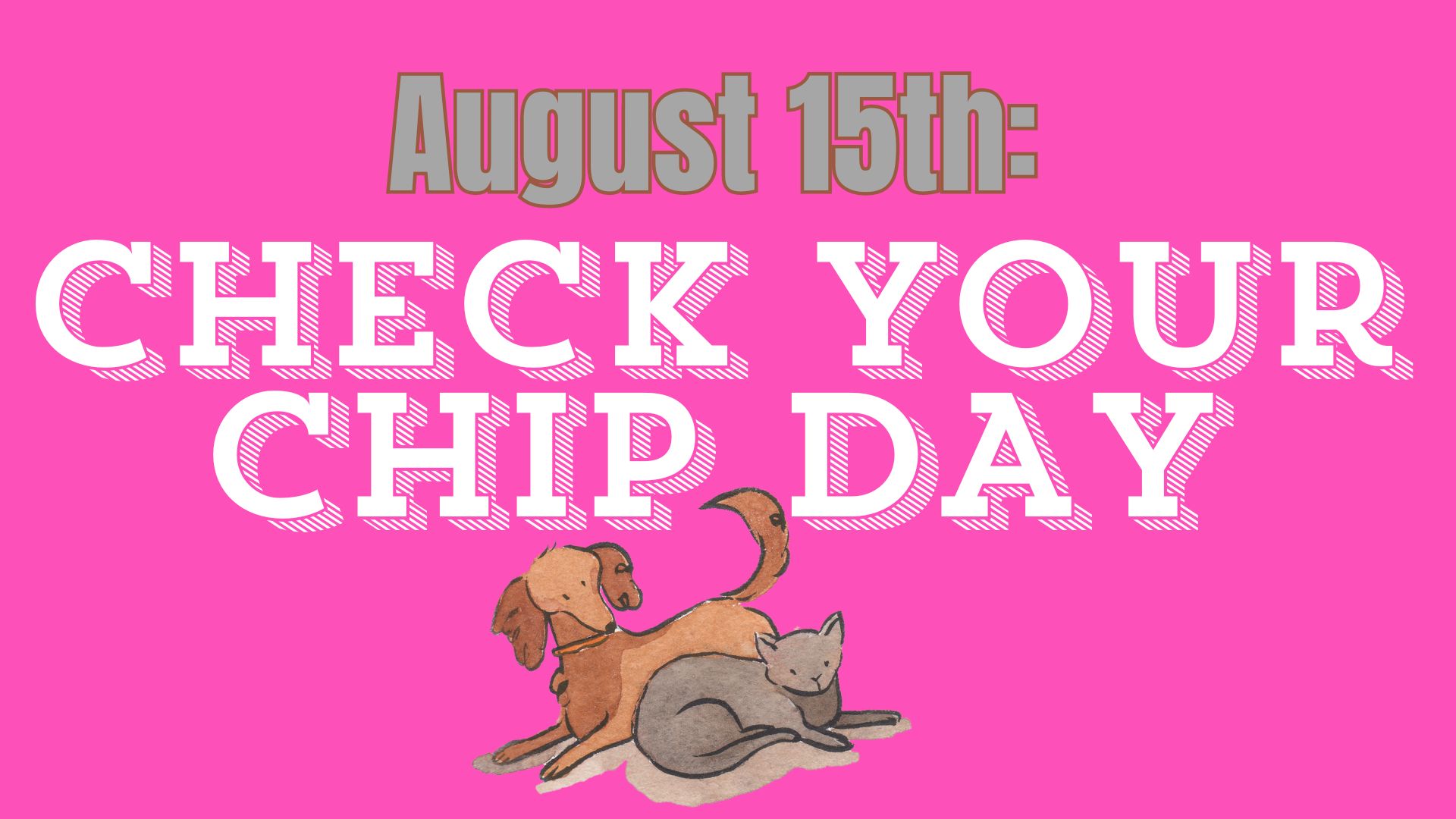 Check Your Chip Day