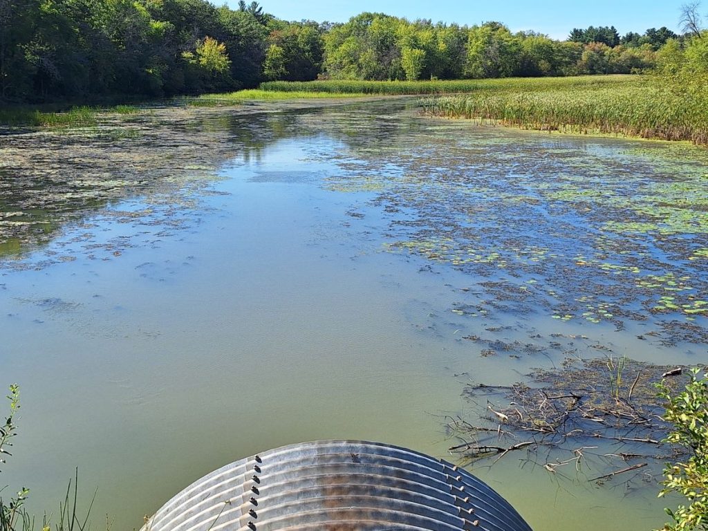 Lynn Creek and the culvert that goes under CTH AA