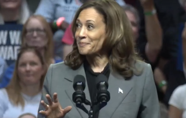 Harris Rallies Arena Of Supporters During Madison Stop