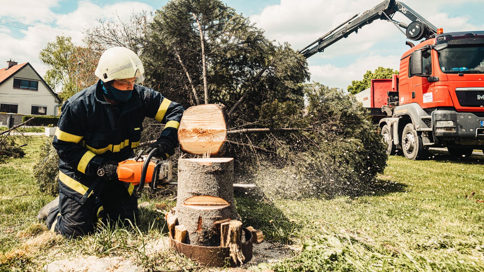 Eau Claire Receives Grant Funding for Low Income Tree Services