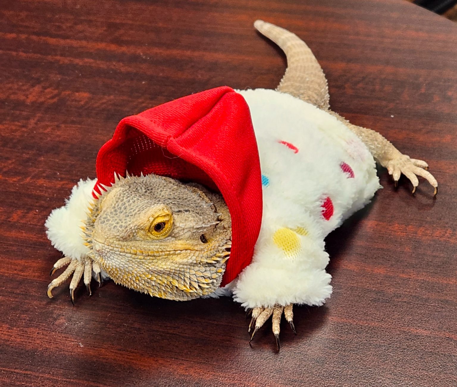 Tiny animals visit WRCO