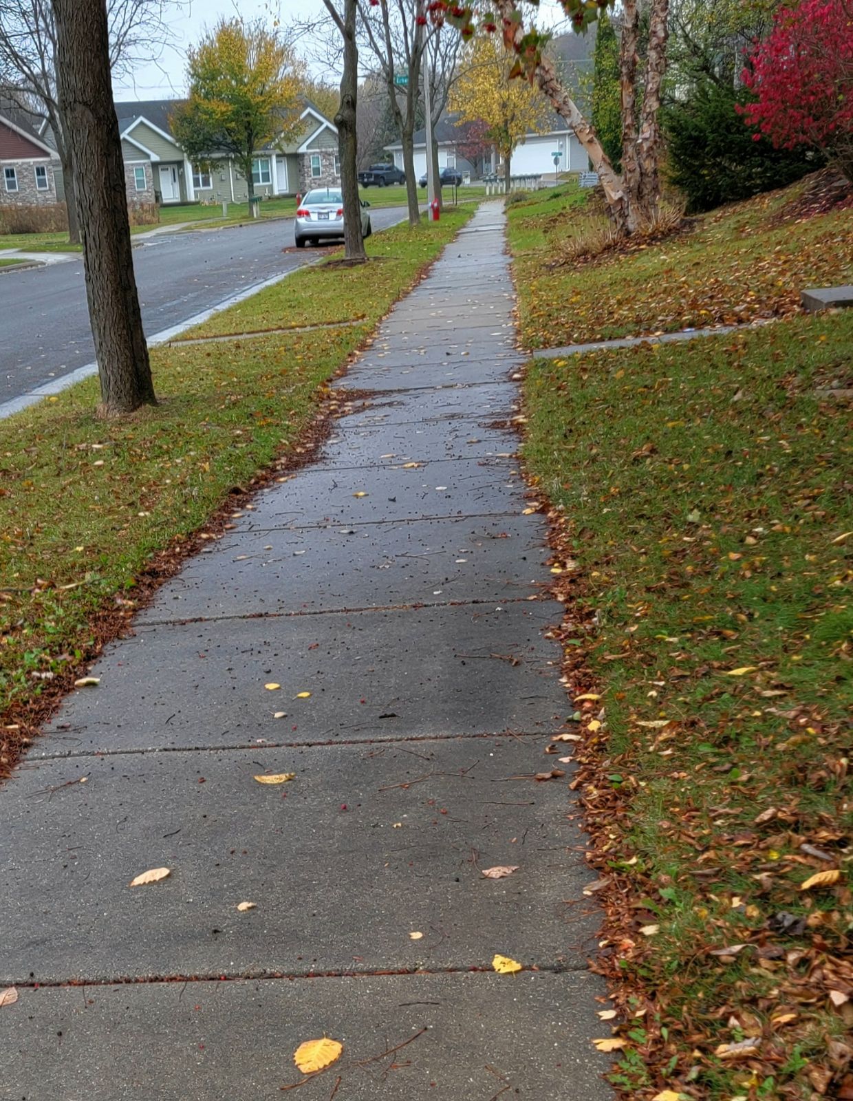 If you are walking to your polling place or standing outside in line, there are still scattered showers in the forecast until around the time polls close at 8pm.
It is "warm" with 60 degrees right now!