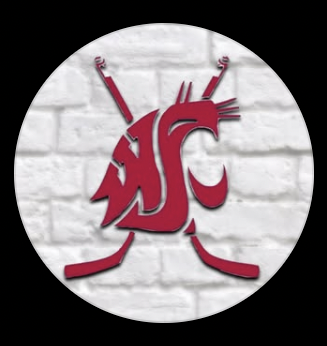 Creativity and Connections- Free Throws and Face Offs