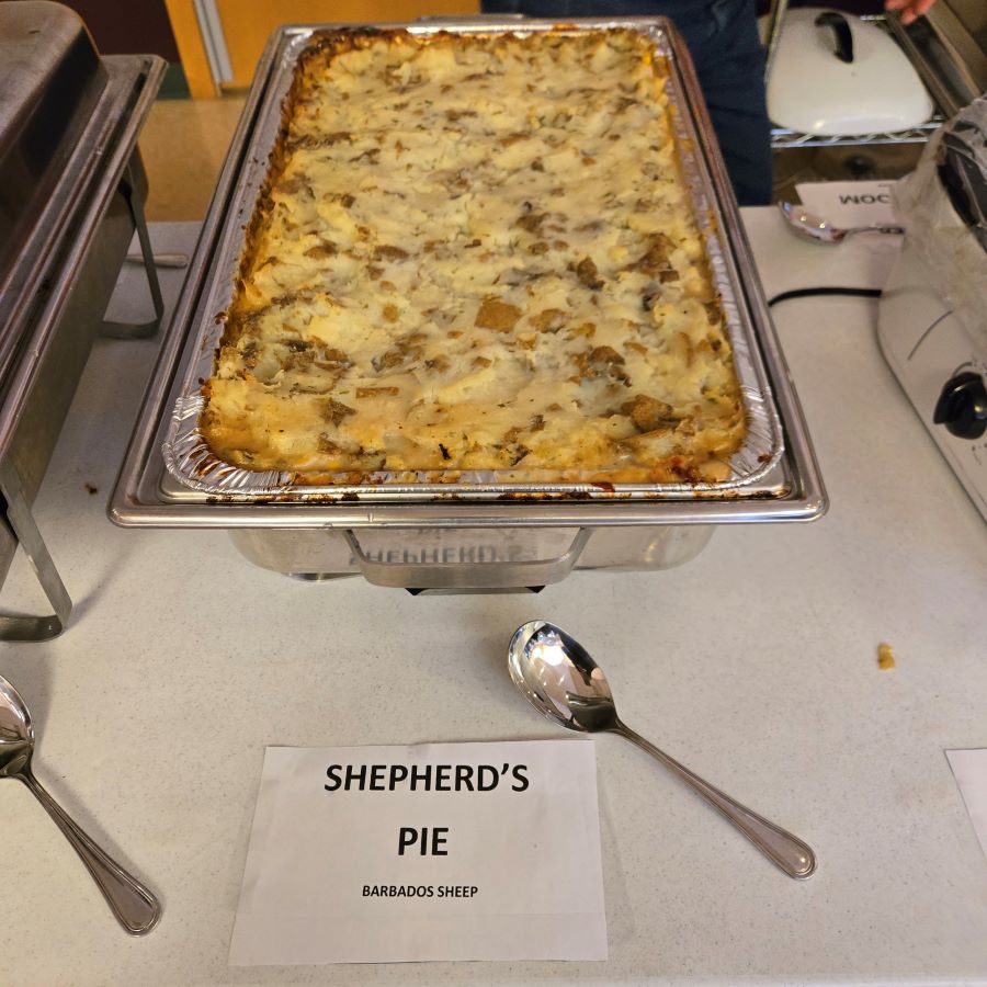 Shepherds Pie with Sheep