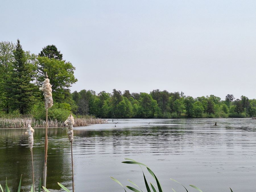 Fourteen Mile Creek
