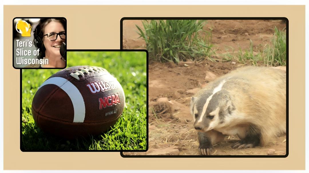 Badgers-cover.jpg