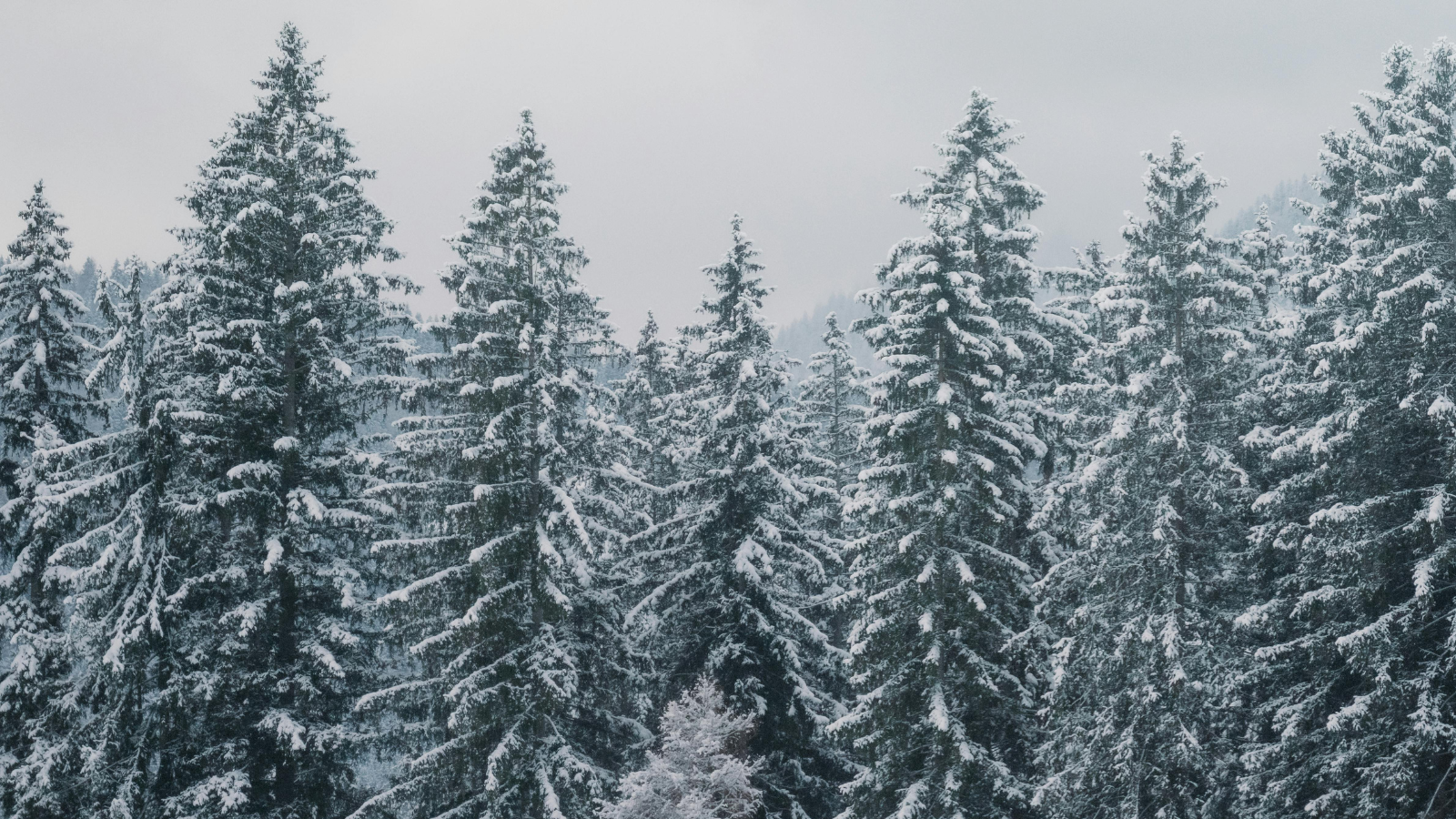 Winter Williams and Matthew A. Brown on their filmmaking journey (Hour 2)