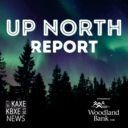 Up North Report