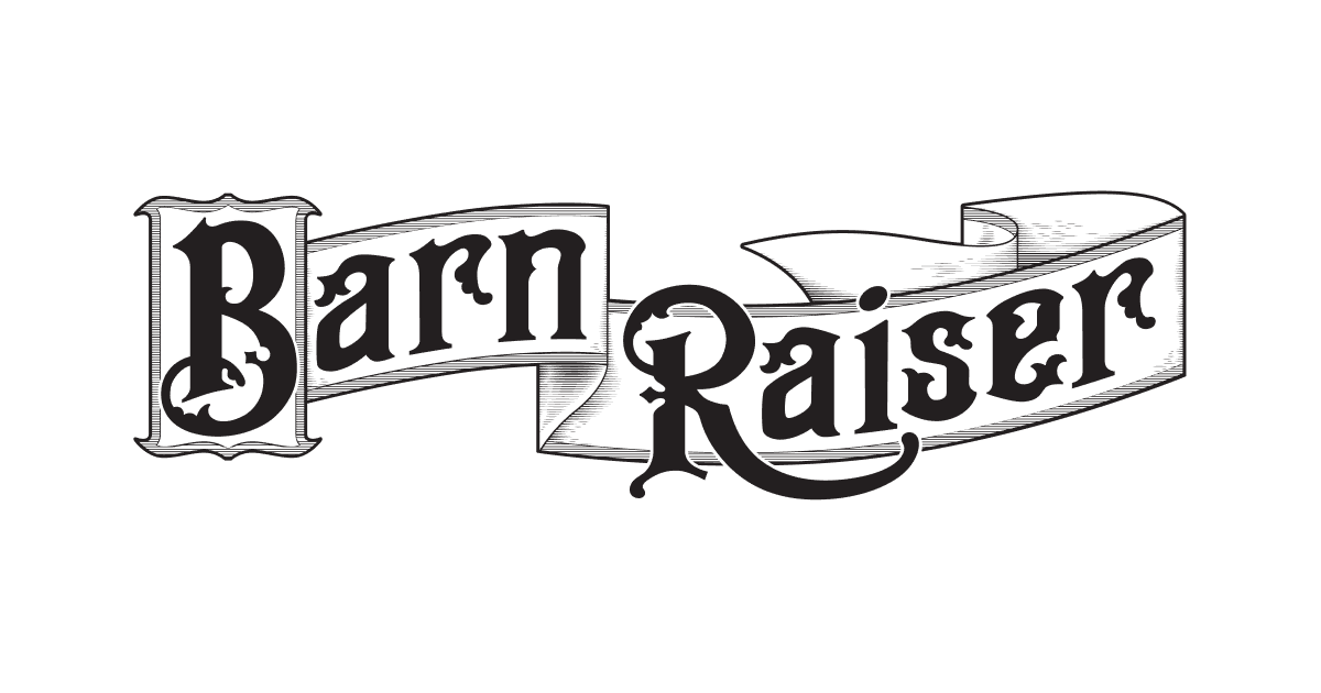 Rural and Small Town Americans Show Up for No Kings Rallies - WGBW ...
