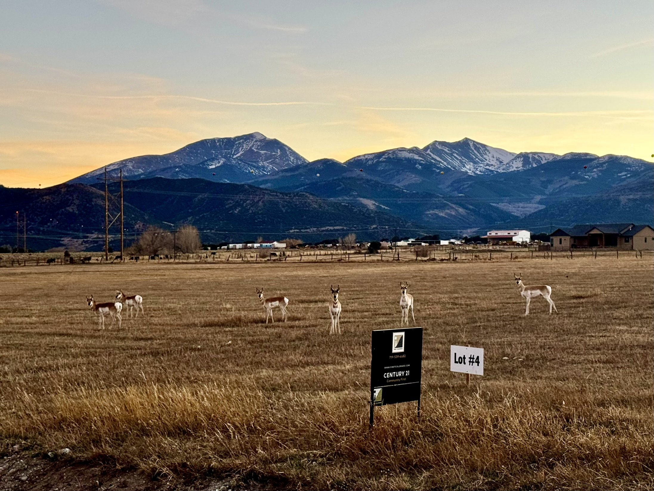 Now rural communities are connecting, rather than just preserving, wildlife habitats - WHSM - Hayward
